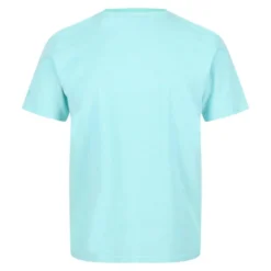 Regatta Caelum T-shirt De Marche à Manches Courtes Pour Homme - Bleu Vif 8 Regatta Caelum T-shirt De Marche à Manches Courtes Pour Homme - Bleu Vif -Quechua Magasin caelum t shirt de marche a manches courtes pour homme bleu vif 3