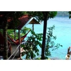 TICKET TO THE MOON Hamac TTTM Compact Jaune Foncé -Quechua Magasin hamac tttm compact jaune fonce 2